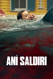 Ani Saldırı izle – 2026