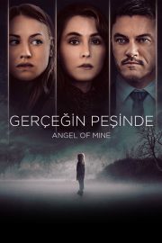 Gerçeğin Peşinde izle – 2019